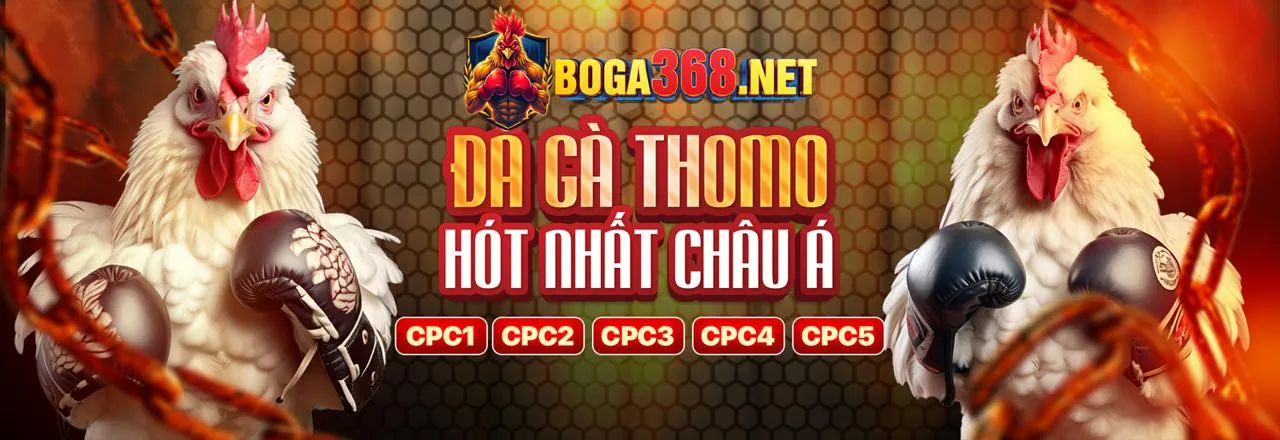 Trách nhiệm xã hội viva8 bet