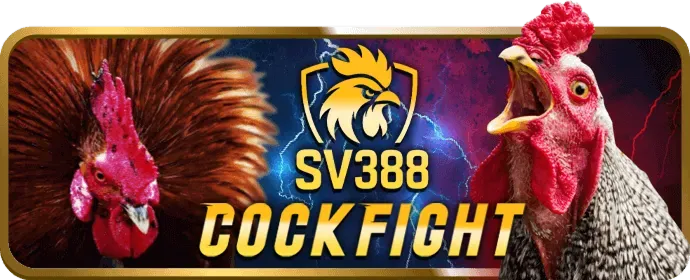 Chiến lược chơi Bắn Cá hiệu quả tại viva8 bet